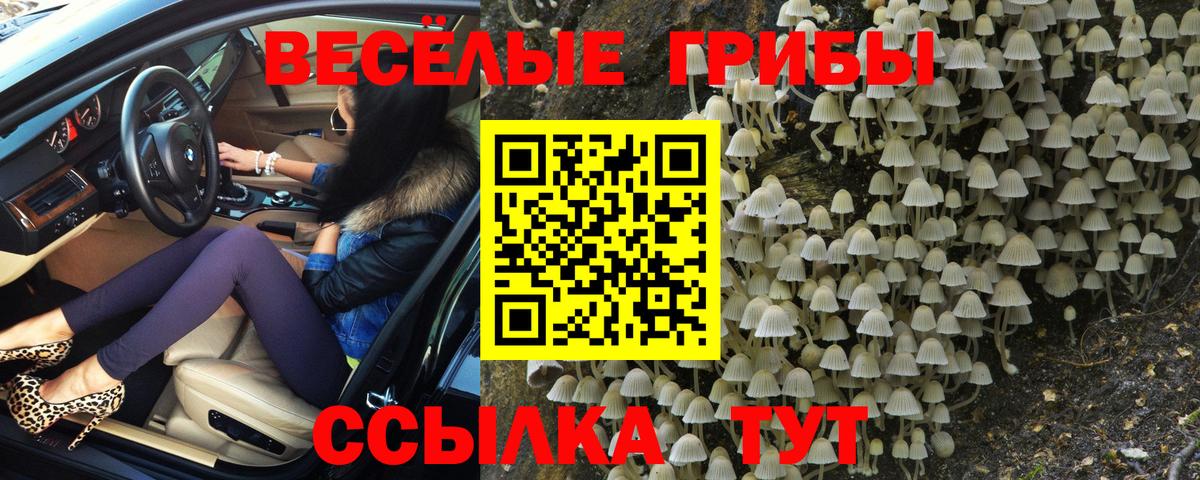 Галлюциногенные грибы Psilocybine cubensis Партизанск